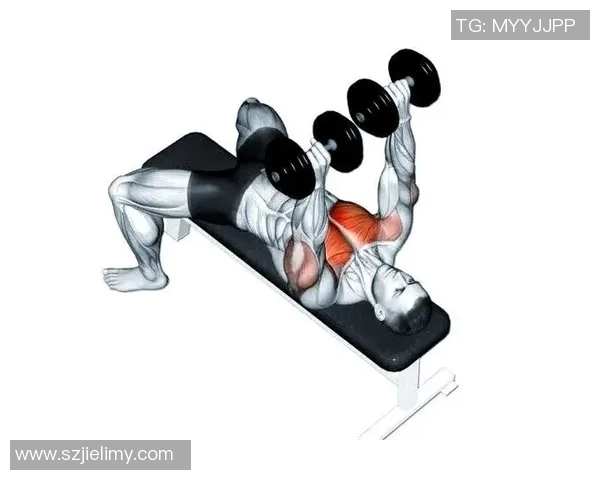 一般女子选择哑铃的最佳重量指南与锻炼效果分析